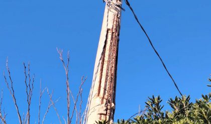 Tribunale di Taranto, sentenza del 21/7/2026 – Responsabilità di enel distribuzione per omessa manutenzione dei pali di cemento. Condanna al ripristino ed applicazione della c.d. astreinte.