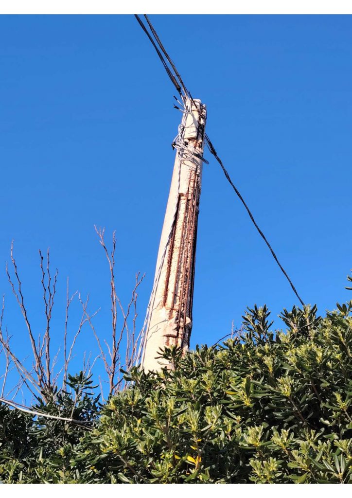 Tribunale di Taranto, sentenza del 21/7/2026 – Responsabilità di enel distribuzione per omessa manutenzione dei pali di cemento. Condanna al ripristino ed applicazione della c.d. astreinte.