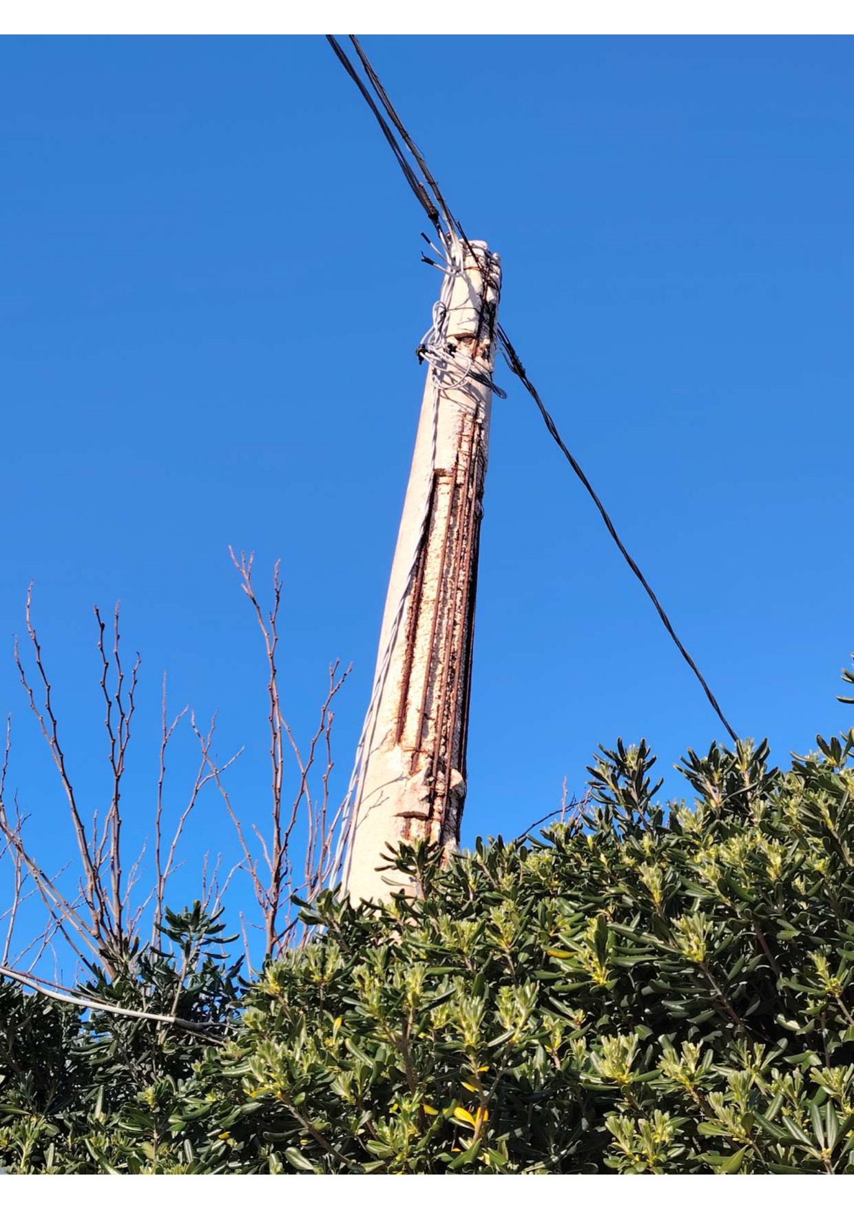 Tribunale di Taranto, sentenza del 21/7/2026 – Responsabilità di enel distribuzione per omessa manutenzione dei pali di cemento. Condanna al ripristino ed applicazione della c.d. astreinte.